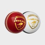 Cricket Ball Lynx X Pro
